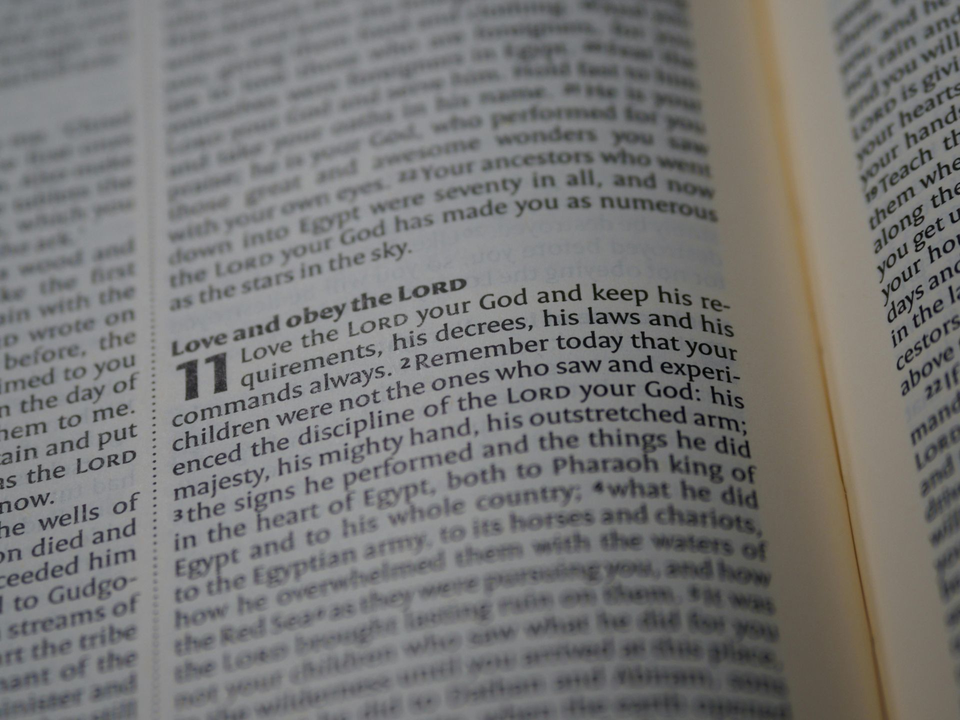 Open book, verse 11 highlighted: