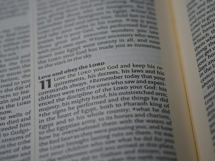 Open book, verse 11 highlighted: 