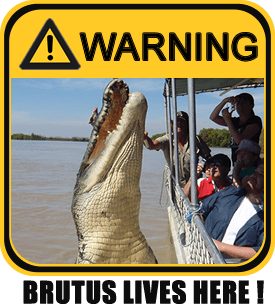 Brutus Crocodile Warning