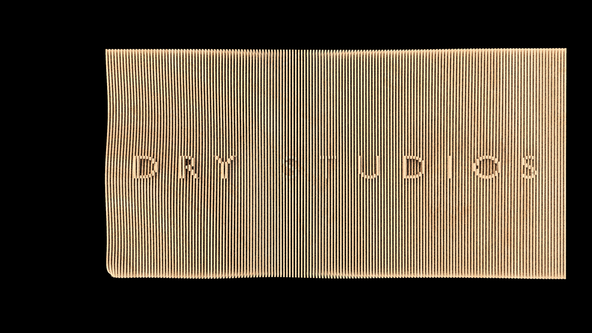 The word physics is written on a piece of cardboard