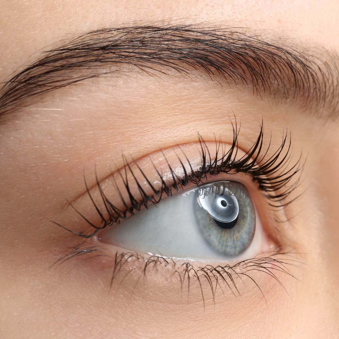 Closed eye with dark eyelashes. Skin is pale with slight purplish shadows.