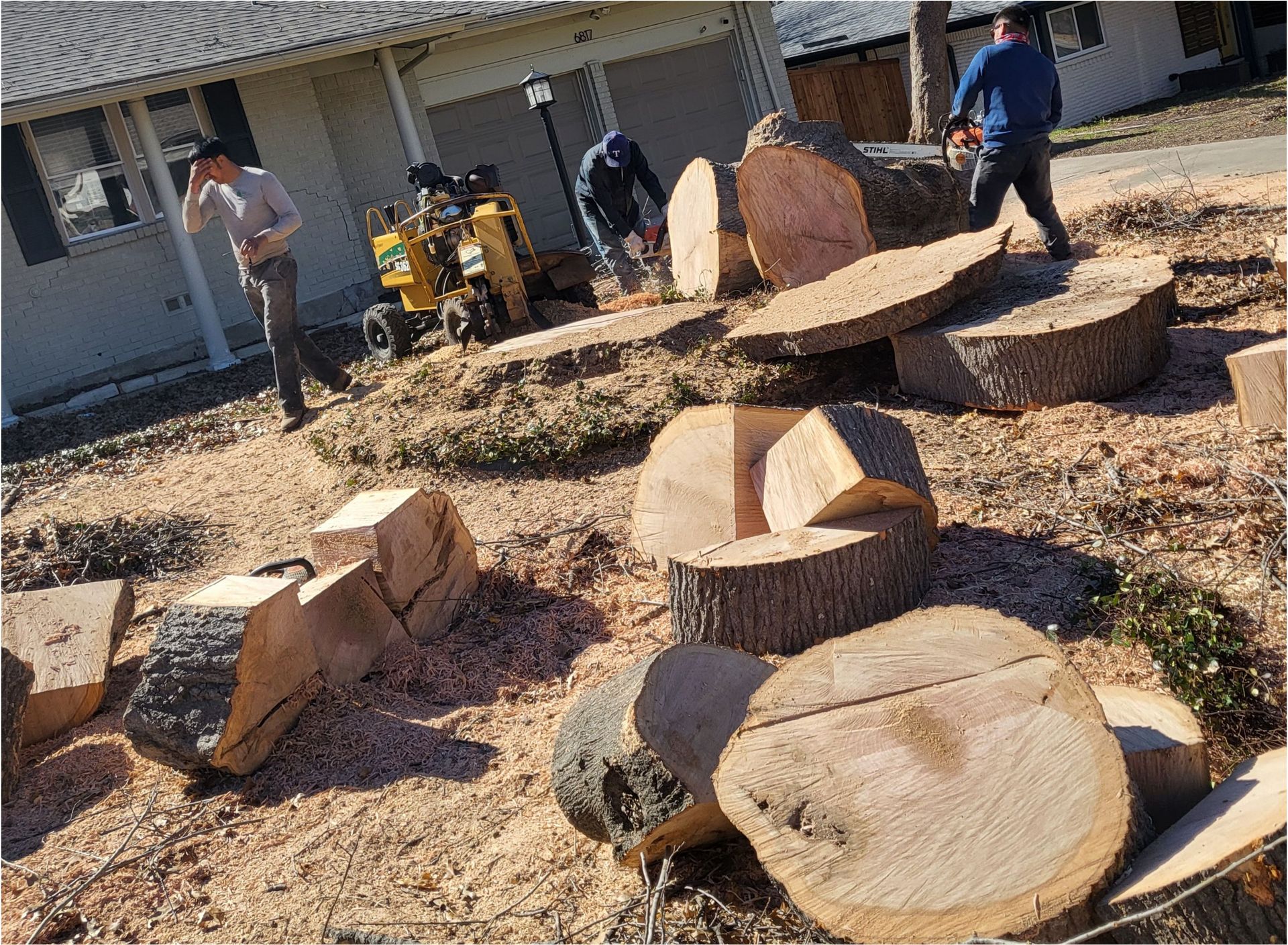Tree Removal Near Me Salt Lake City