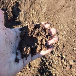 Macchinari da estrazione