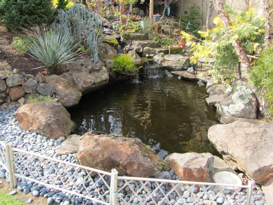 Residential Pond — Carmichael, CA — Elite Ponds