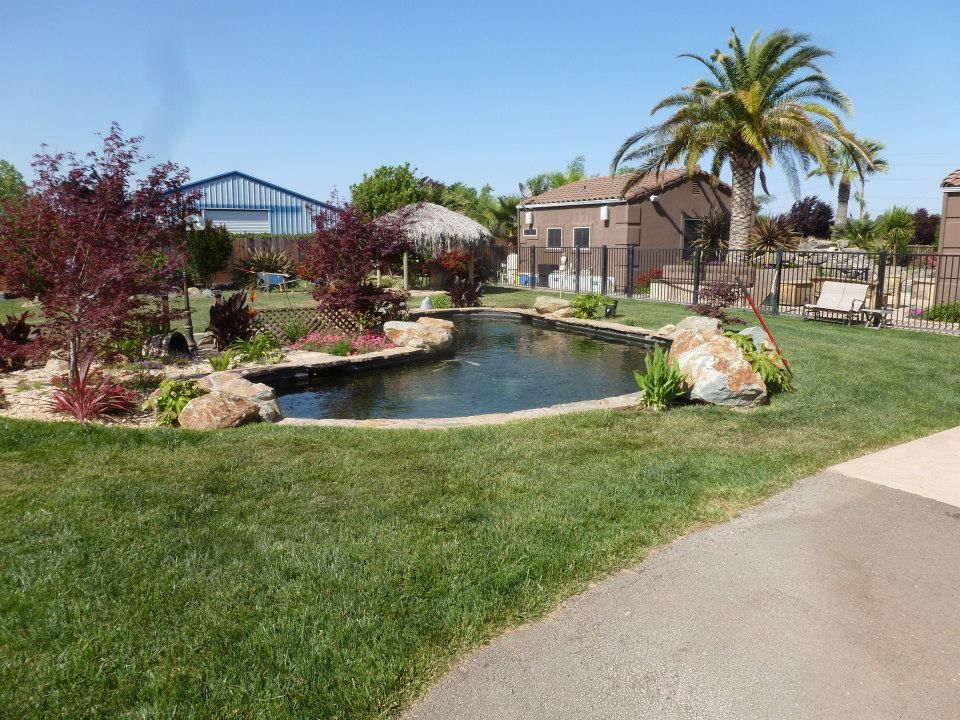 Pond with Lawn — Carmichael, CA — Elite Ponds