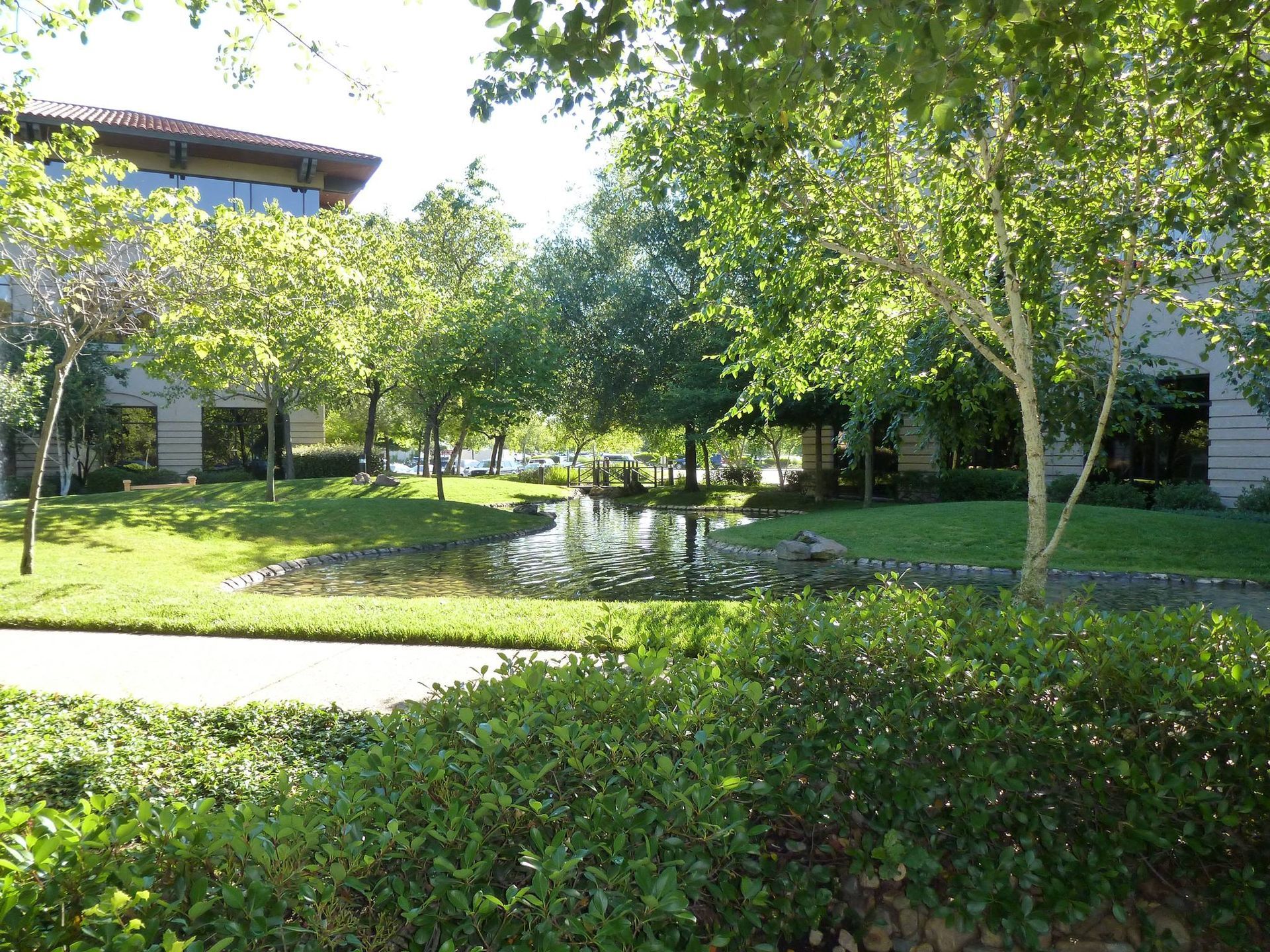 Building with Pond — Carmichael, CA — Elite Ponds