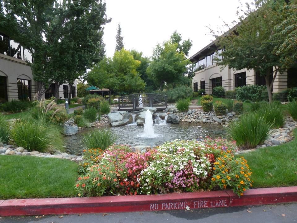 Pond with a Fountain in Front of a Building — Carmichael, CA — Elite Ponds