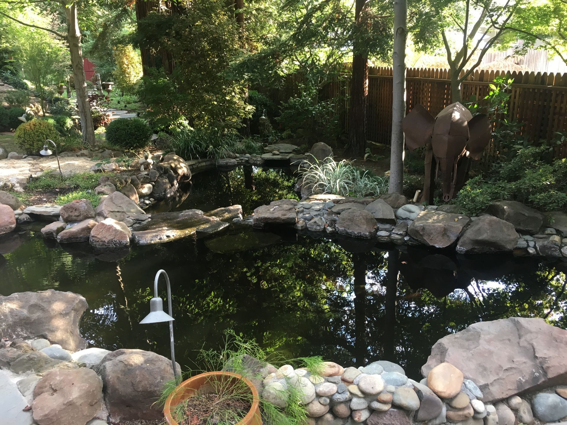 Pond — Carmichael, CA — Elite Ponds