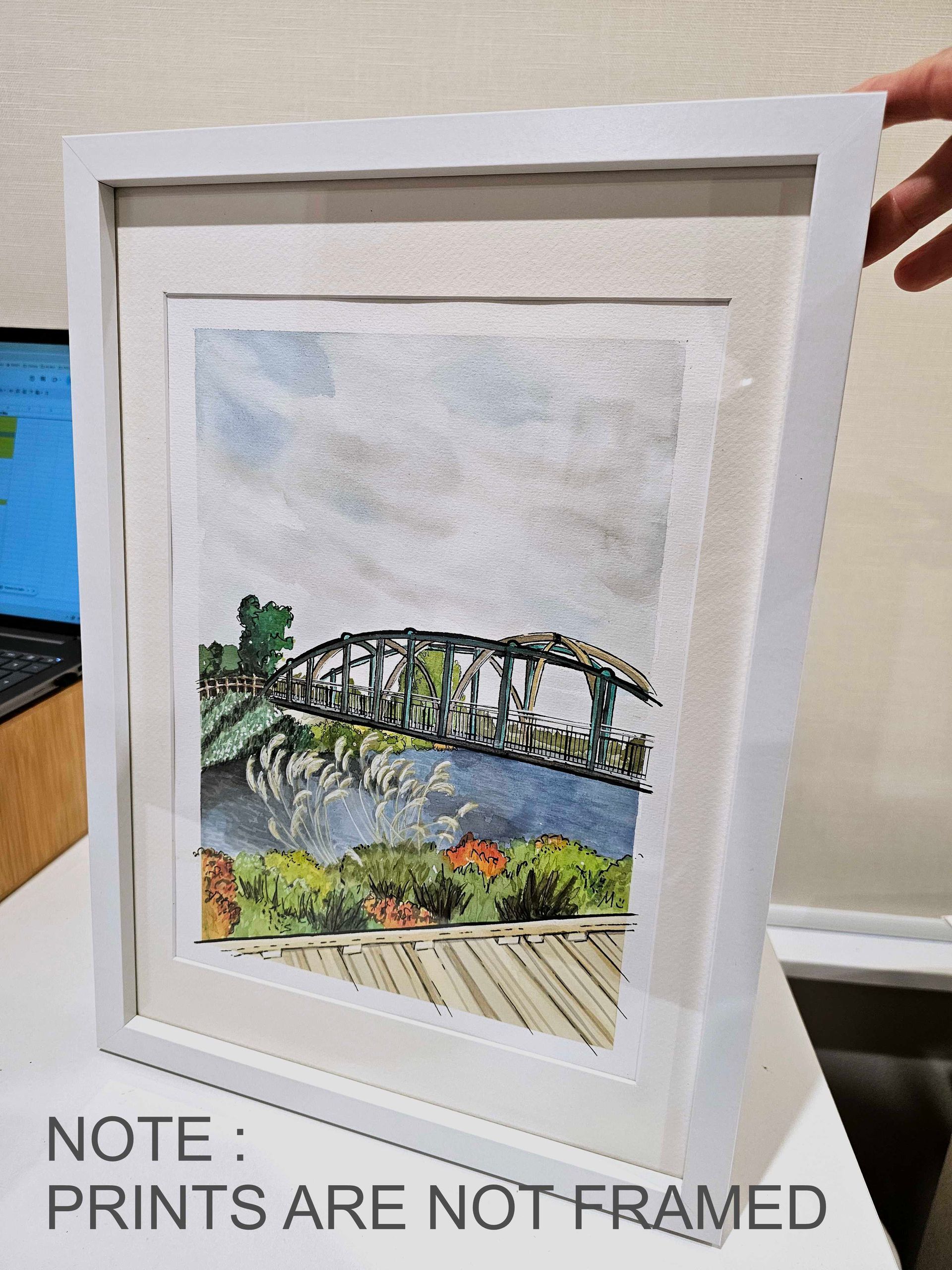 PRINT - Medway St Footbridge, Avonside  Drive