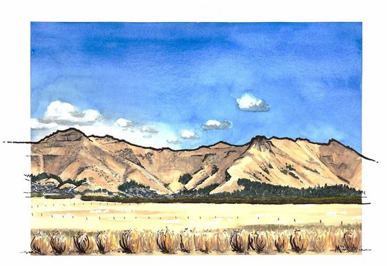Otautahi, a New Perspective. Watercolour and Ink Paintings by Margot Korhonen - The Port Hills from Bromley
