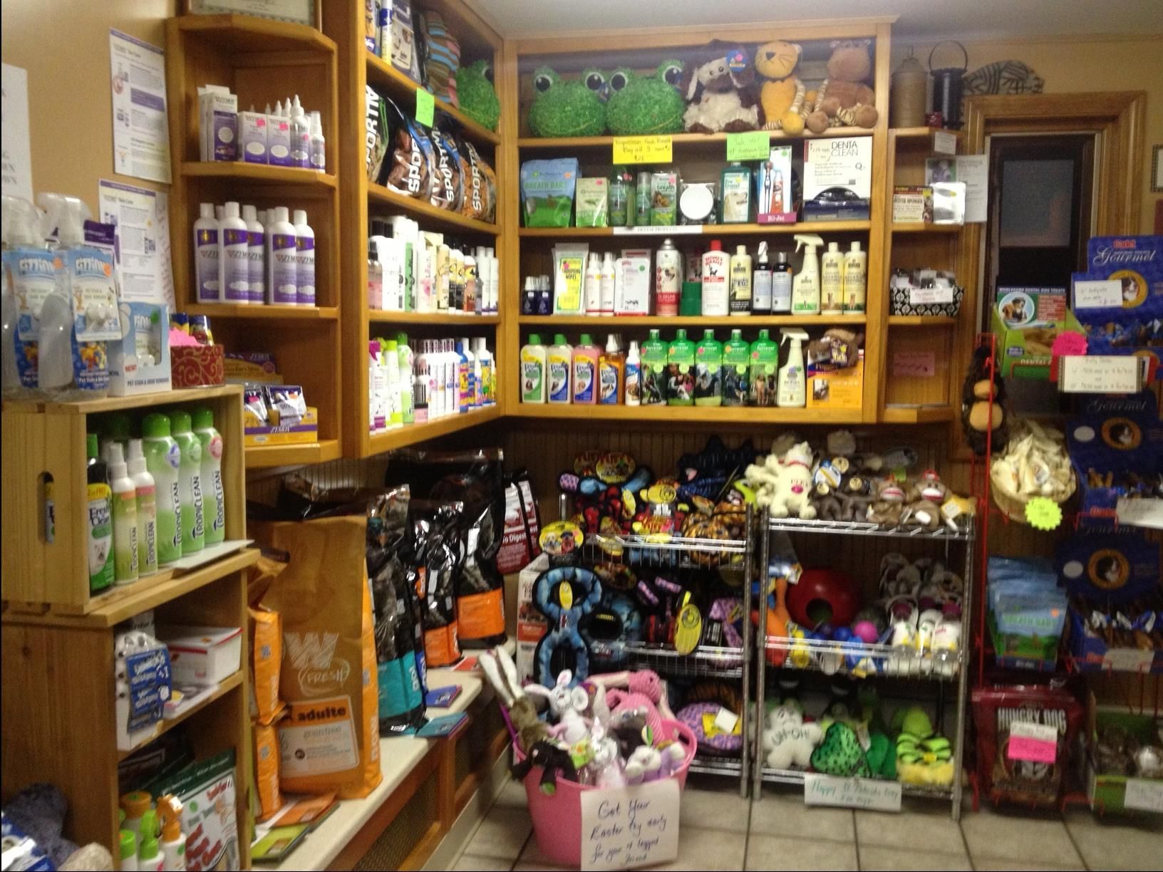 A veterinarian is examining a dog with a stethoscope.