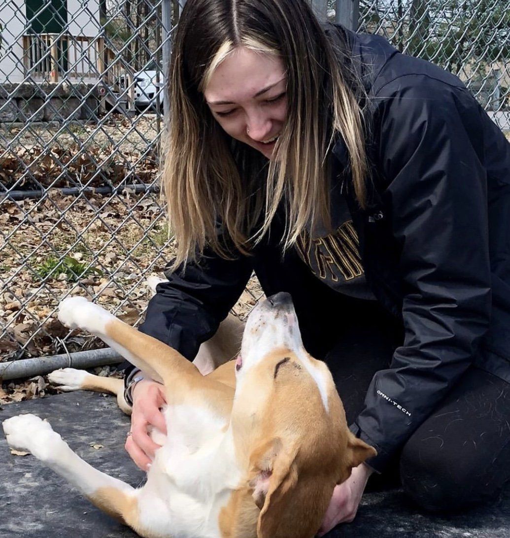 A woman in a black jacket is petting a brown and white dog.