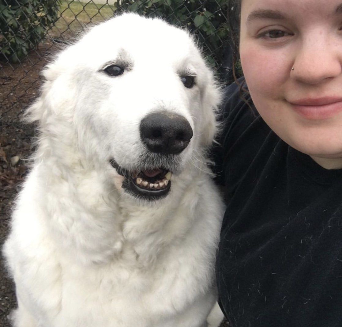 A woman is posing for a picture with a white dog.