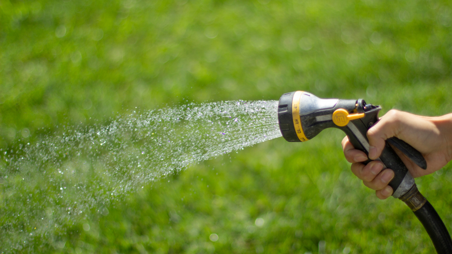 a person watering a lawn with a hose.