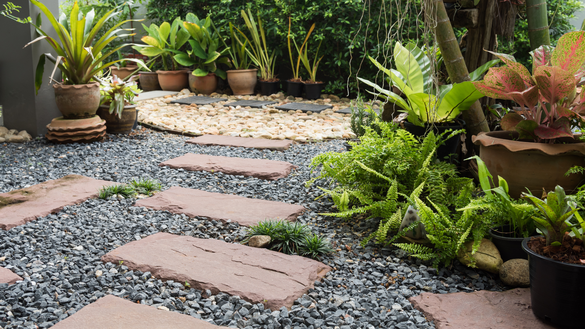 a serene garden with a stone path winding through potted plants.