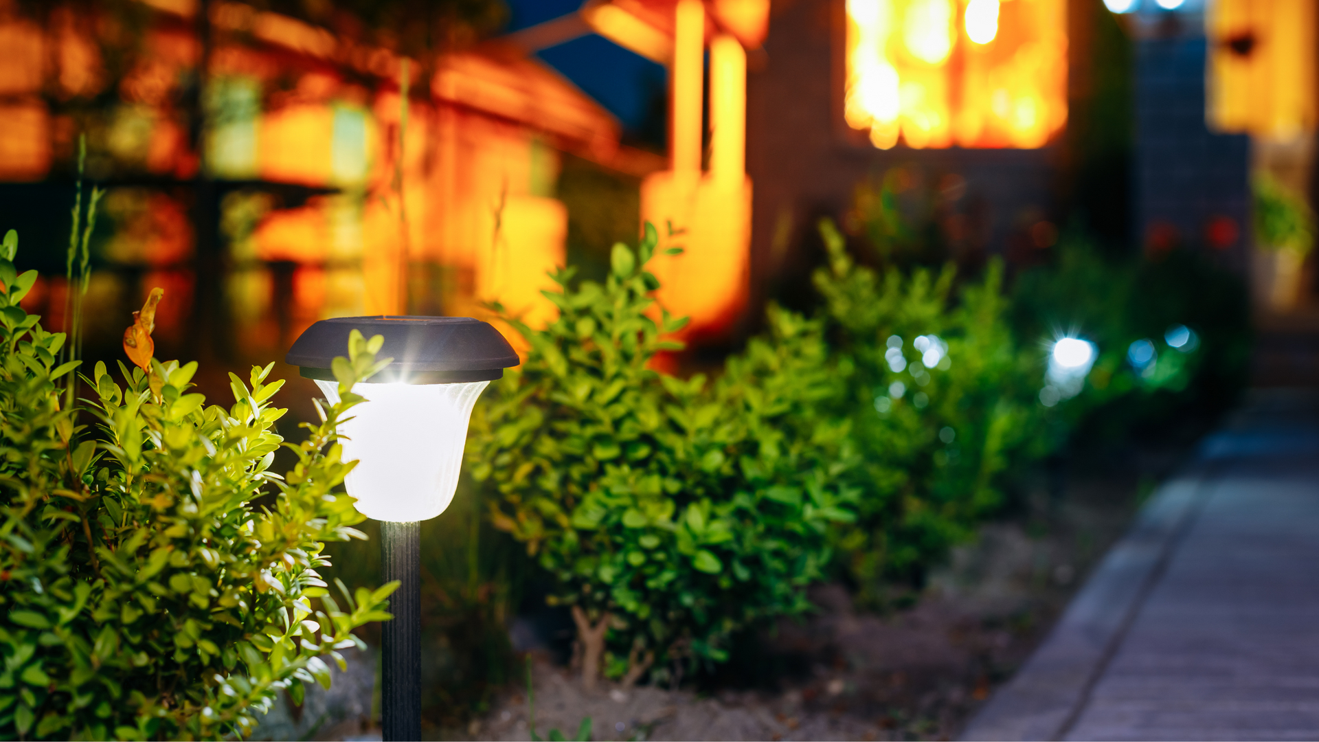 outdoor solar lights illuminating a sidewalk in front of a house, providing eco-friendly and efficient outdoor lighting.