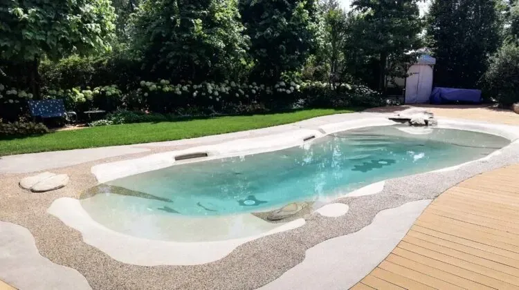Residential Biodesign Swimming Pool