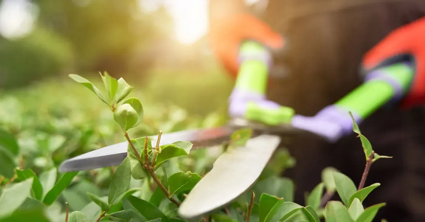 How to Keep Your Lawn and Garden Tools in Good Condition