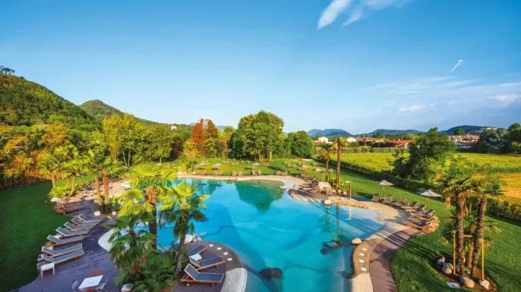 Commercial Biodesign Swimming Pool