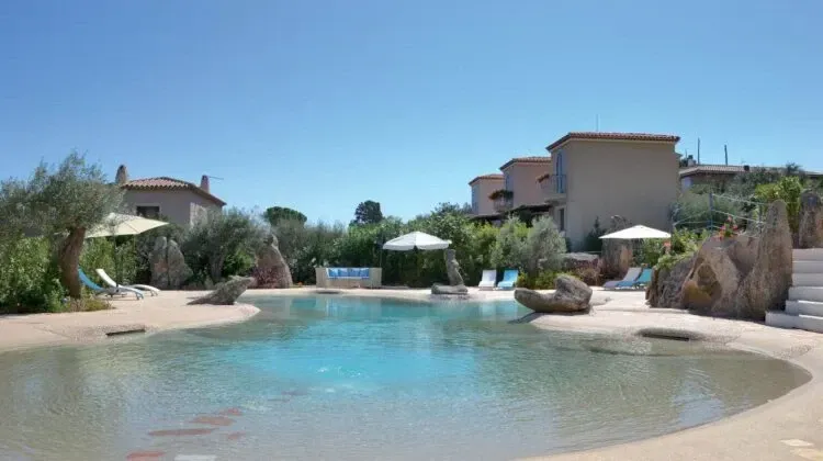 Commercial Biodesign Swimming Pool