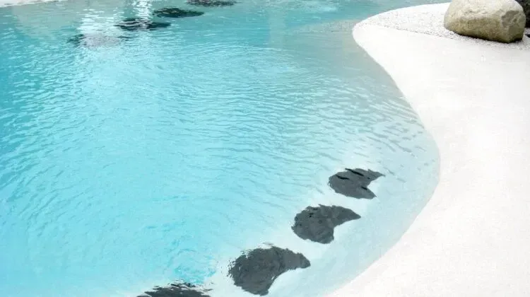 Residential Biodesign Swimming Pool