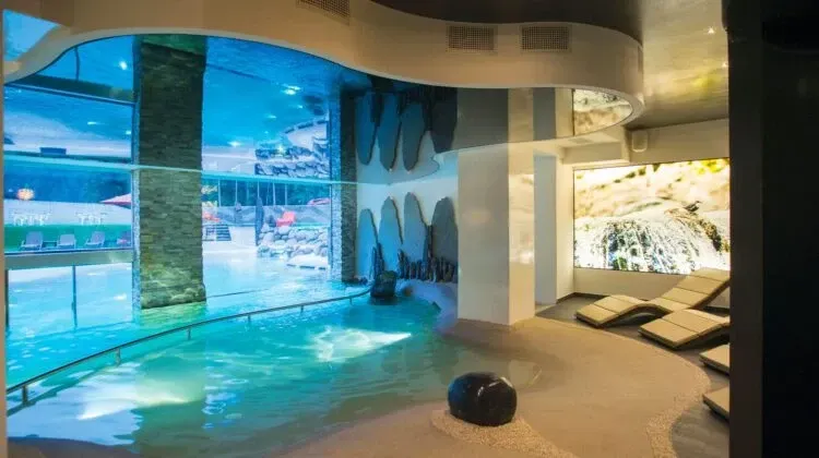 Commercial Biodesign Swimming Pool