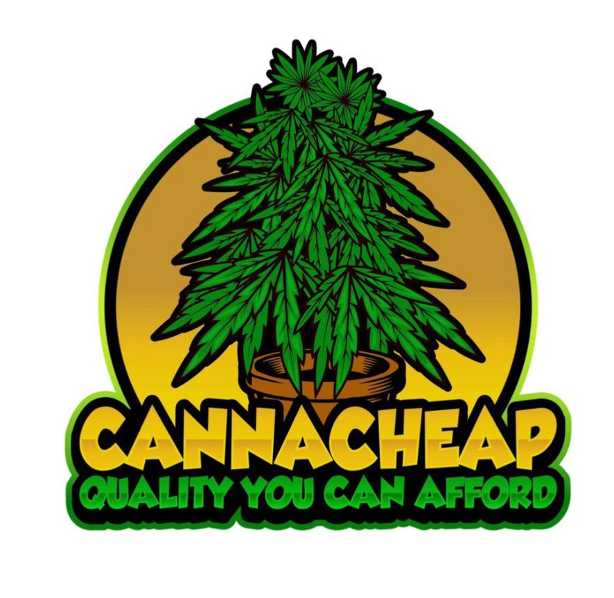Cannacheap logo: green cannabis plant in pot against yellow/gold circle, with