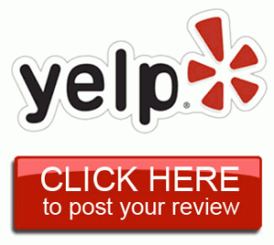 Yelp Review Icon