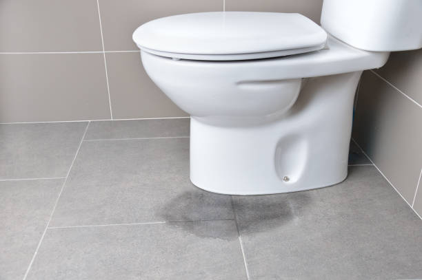 A white toilet is sitting on a tiled floor in a bathroom.