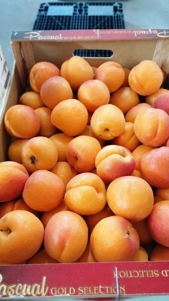 Mucchio di arance mature, alcune con foglie verdi, esposte alla luce naturale.