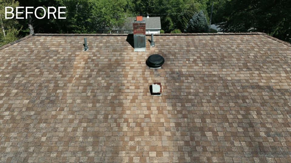 Brown asphalt shingle roof with visible algae growth;