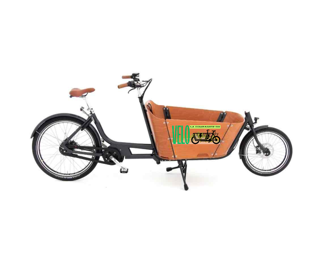 Tricycle cargo électrique noir avec boîte à l'arrière, sur fond blanc.
