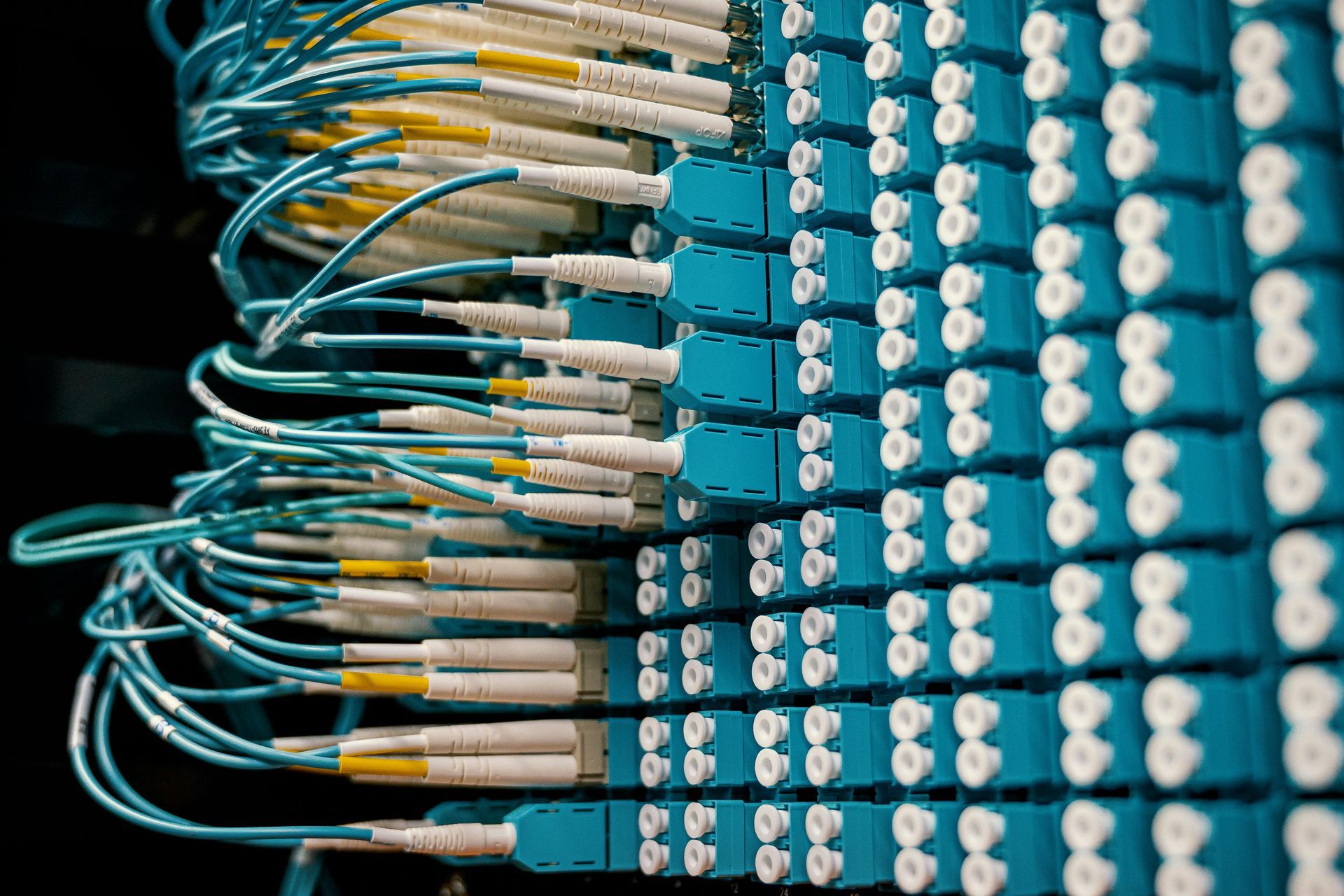 Blue and white fiber optic cables plugged into a network server.