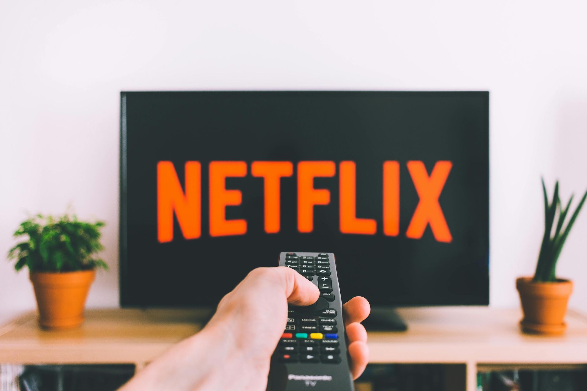 Hand holding a remote pointing at a TV displaying the Netflix logo. Two potted plants on either side.