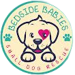 Bedside Babies small dog rescue logo: cartoon dog with heart-shaped eye, surrounded by text, paw prints.