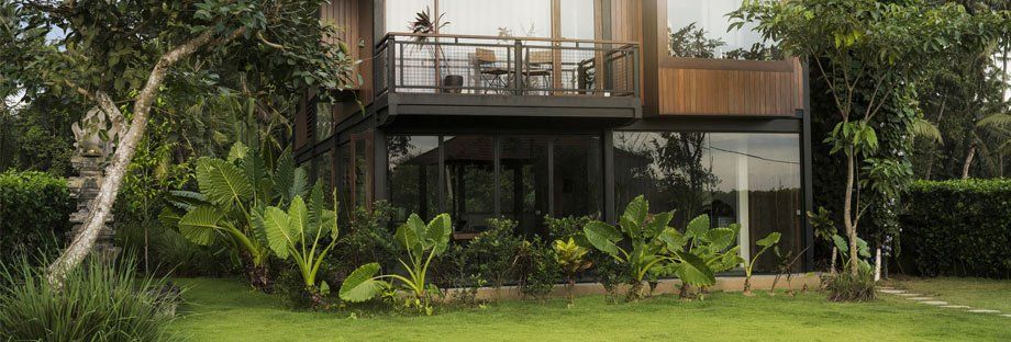 house with vegetation around it