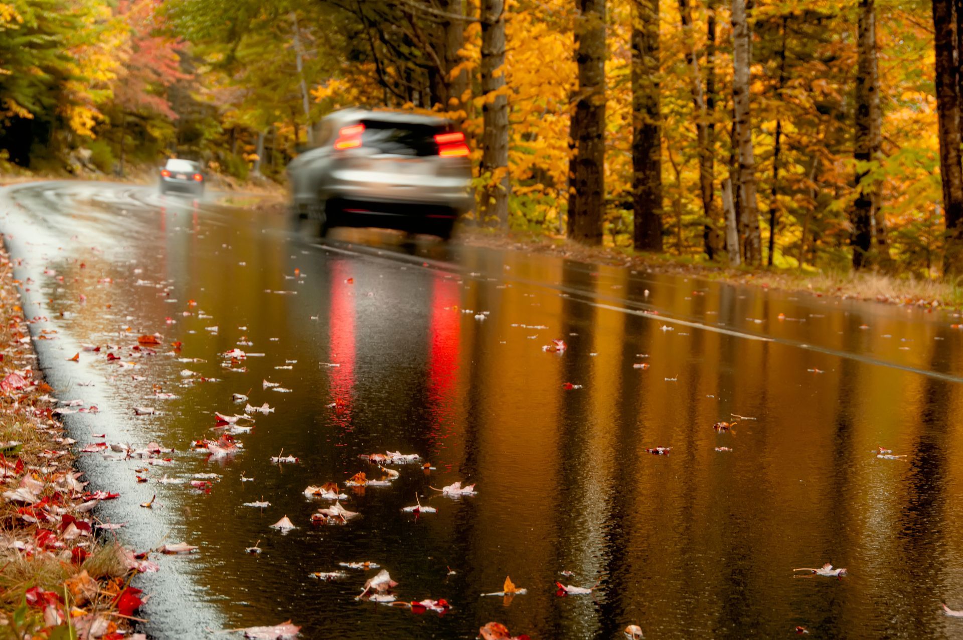 Wet road reflecting autumn trees, cars driving.