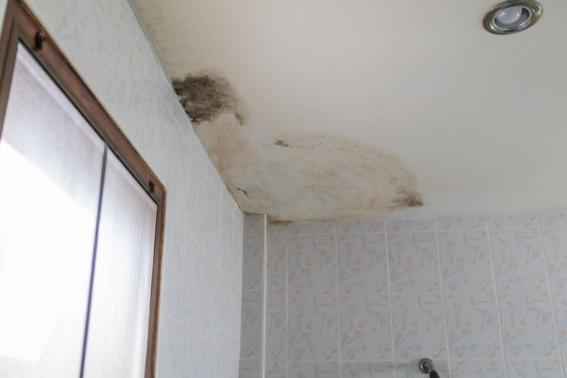 How to Safely and Effectively Remove Mould from Your Bathroom