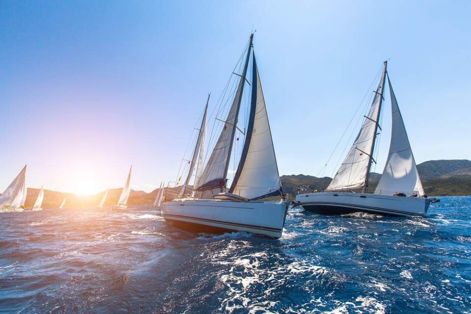 sailing regatta