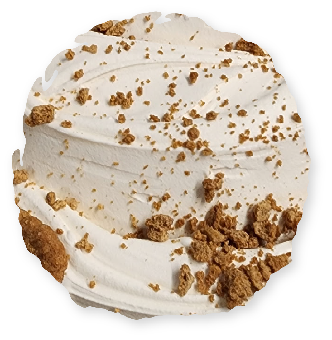 White ice cream with brown crumble toppings.