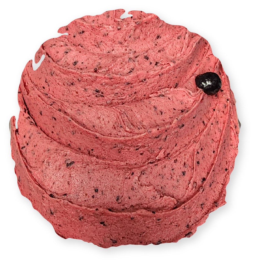 Pink frosted cupcake, swirled frosting with blueberry detail.