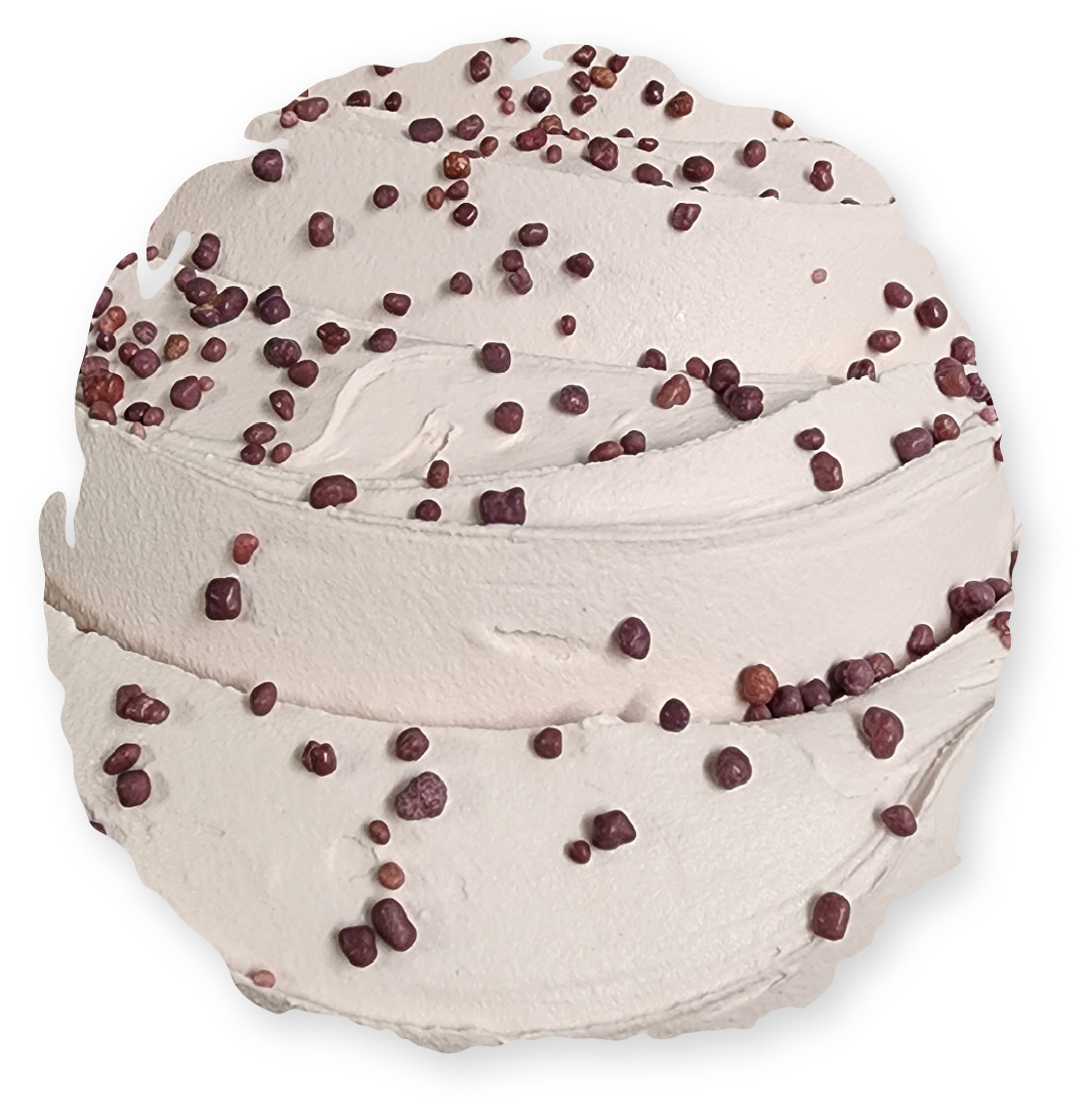 Scoop of light-colored ice cream with dark chocolate sprinkles.