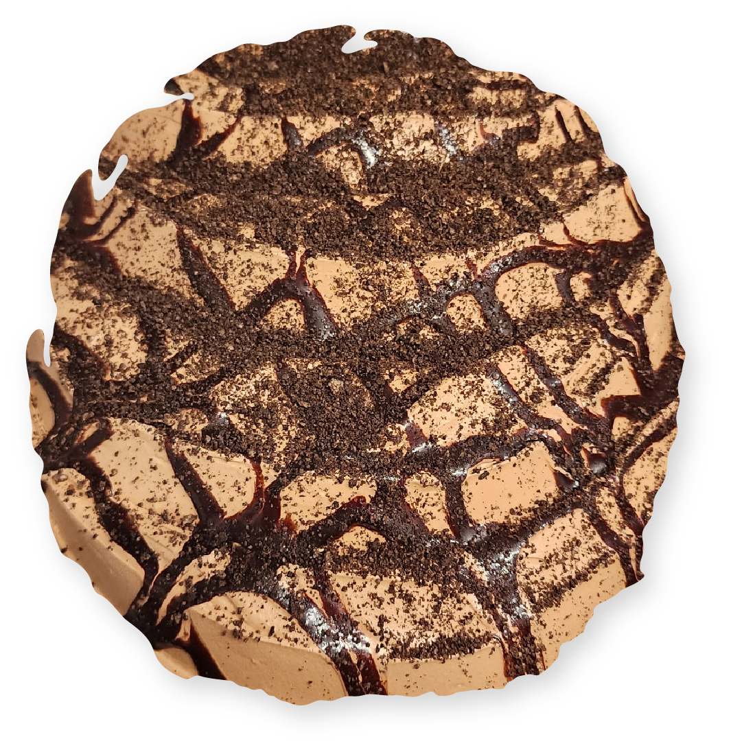 Chocolate dessert, round with chocolate drizzle and sprinkle.