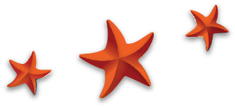 Three red starfish are lined up in a row on a white background.