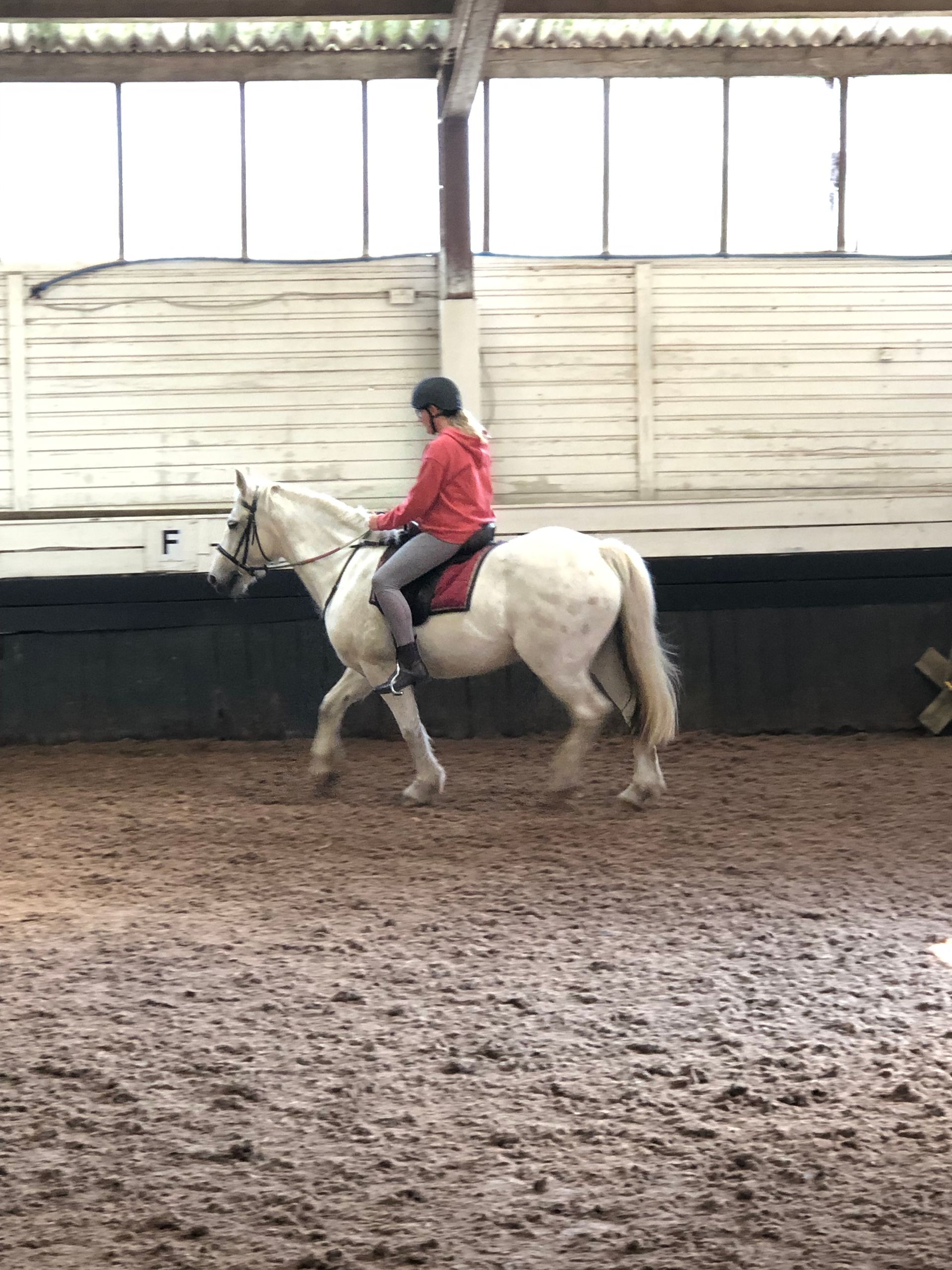 Activities & Enrichment - horse riding days out with Northwest Child Care, Burnley