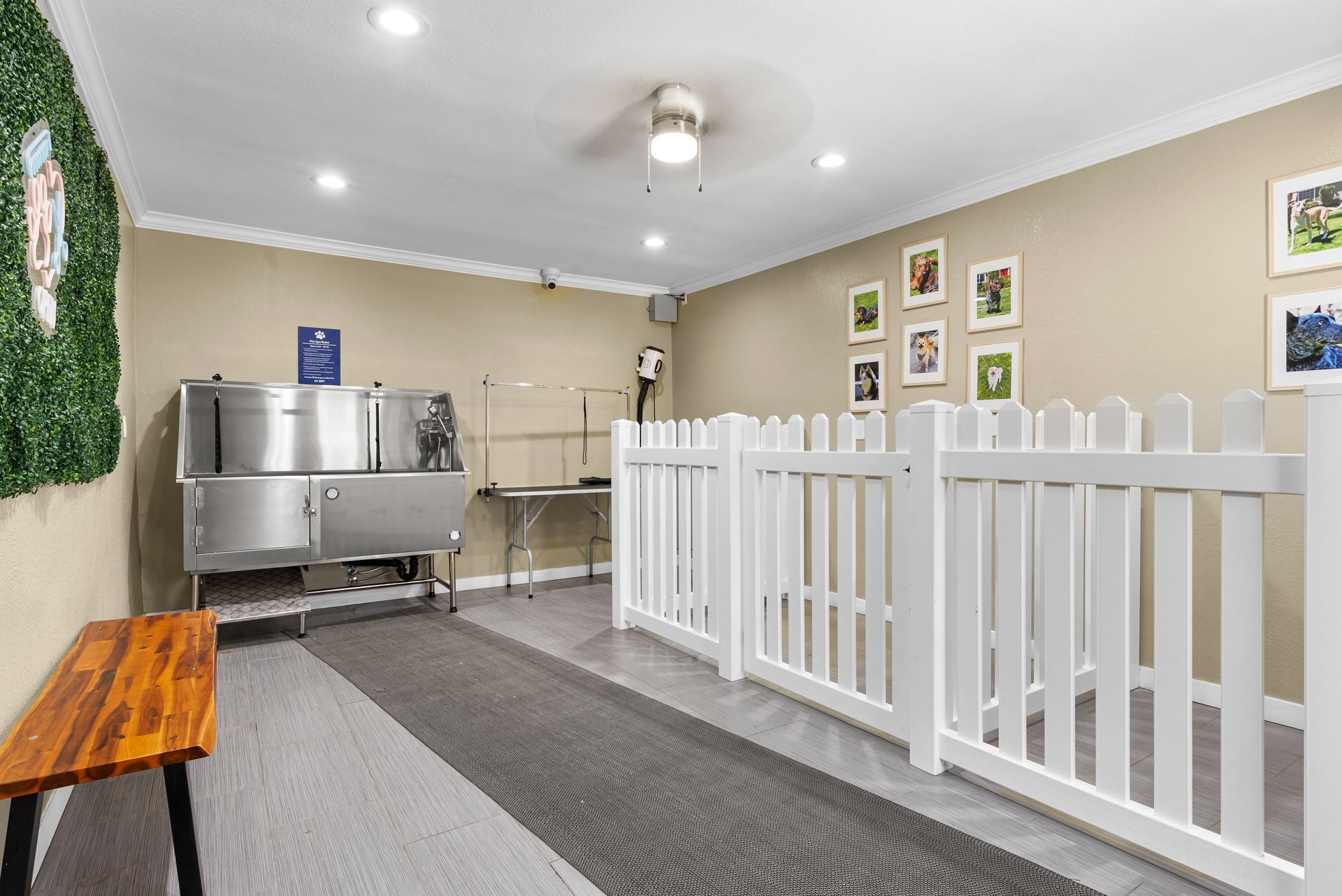dog wash, grooming stations and fence