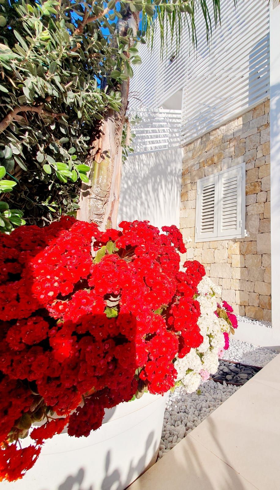 la perla di Marzamemi casa vacanze Palumeri Sicilia