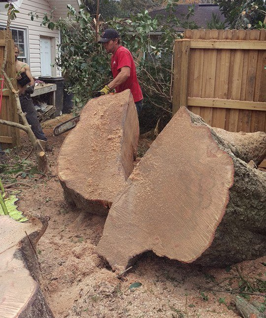 A Road Signage Of A Tree Work — Jacksonville, FL — Shaw's Tree Service, LLC