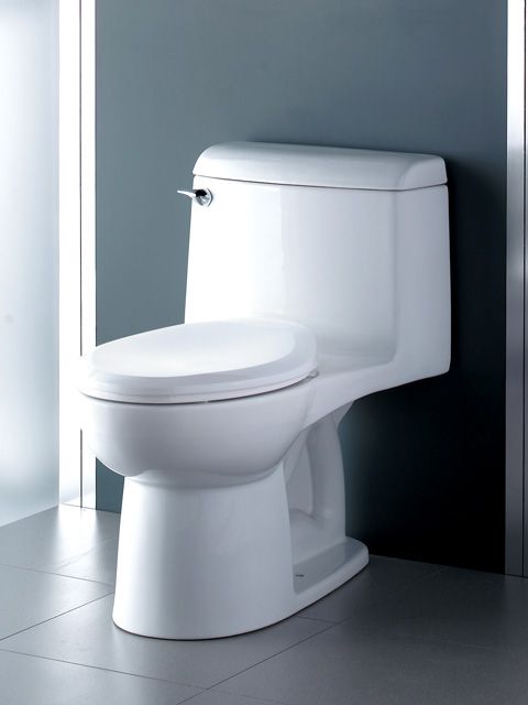 A white toilet is sitting on a tiled floor in a bathroom