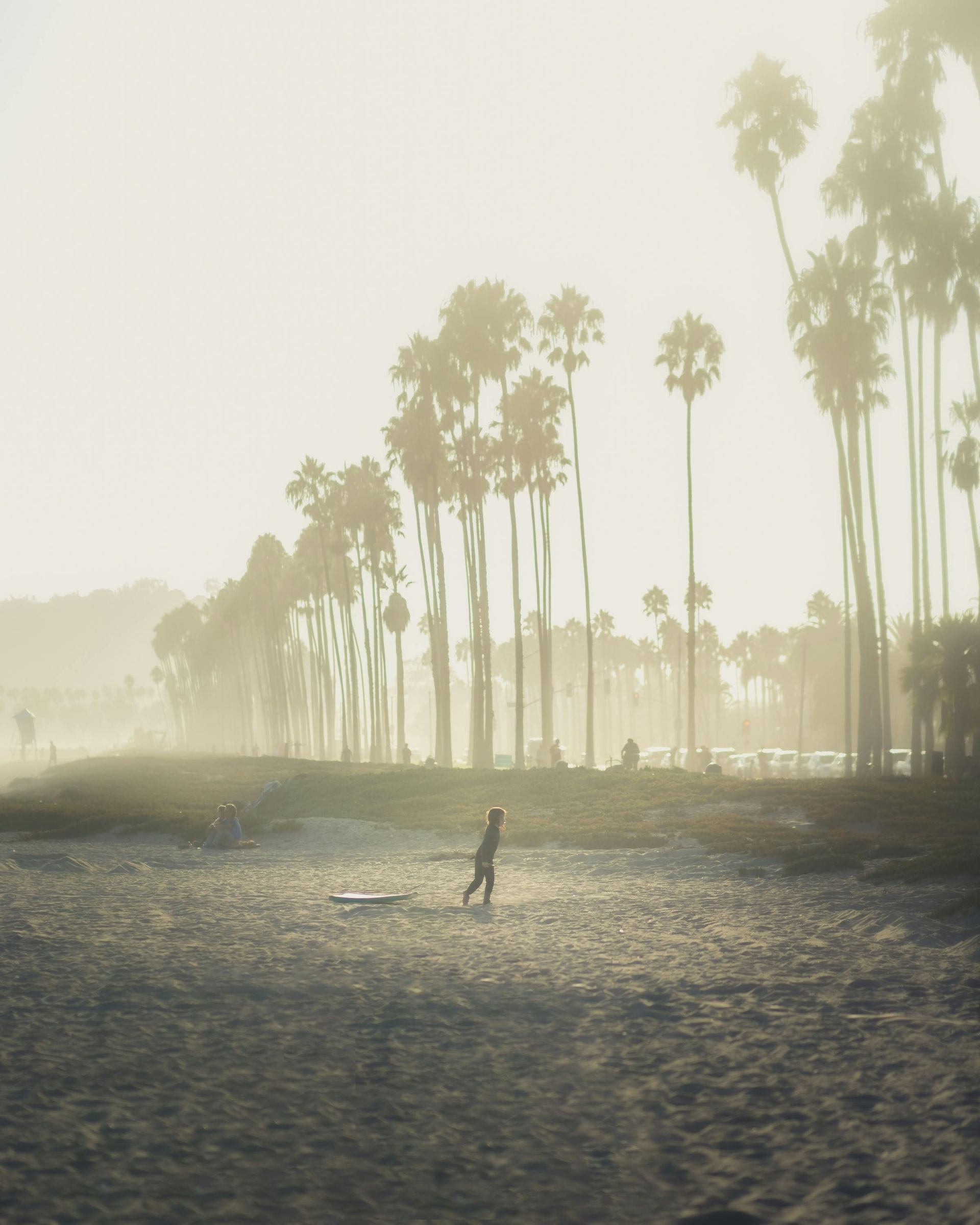 A silhouette of a person walking across a hazy, sandy beach lined with tall palm trees under bright, golden light.